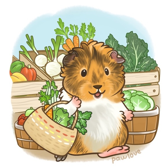 Meet your Posher, Emily - Picture 13 of 16